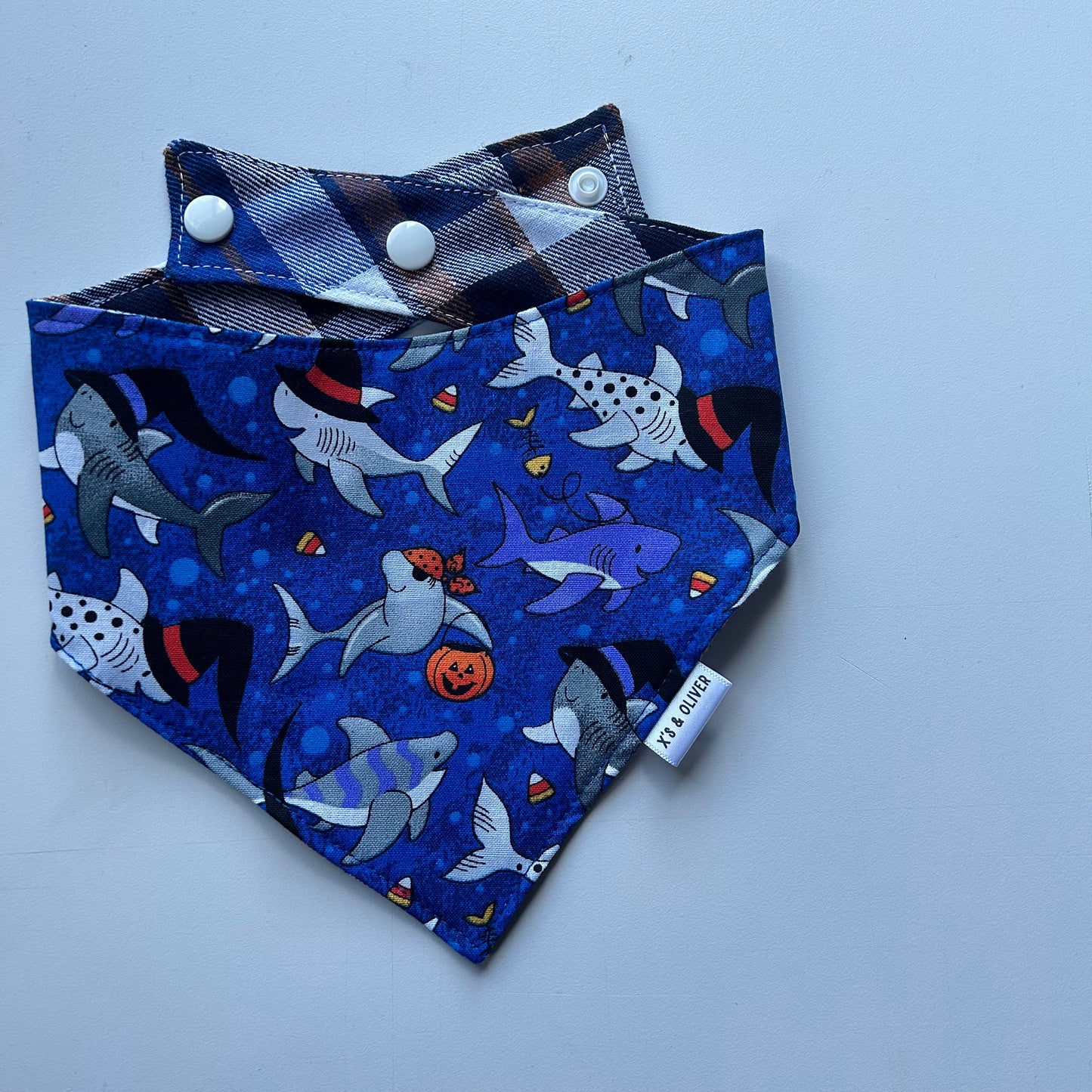 Halloween Sharks