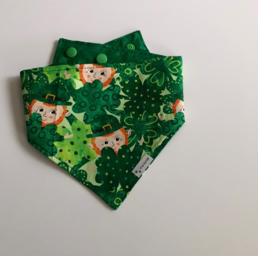 Lucky Leprechaun