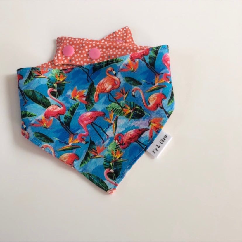 Flamingos in Paradise